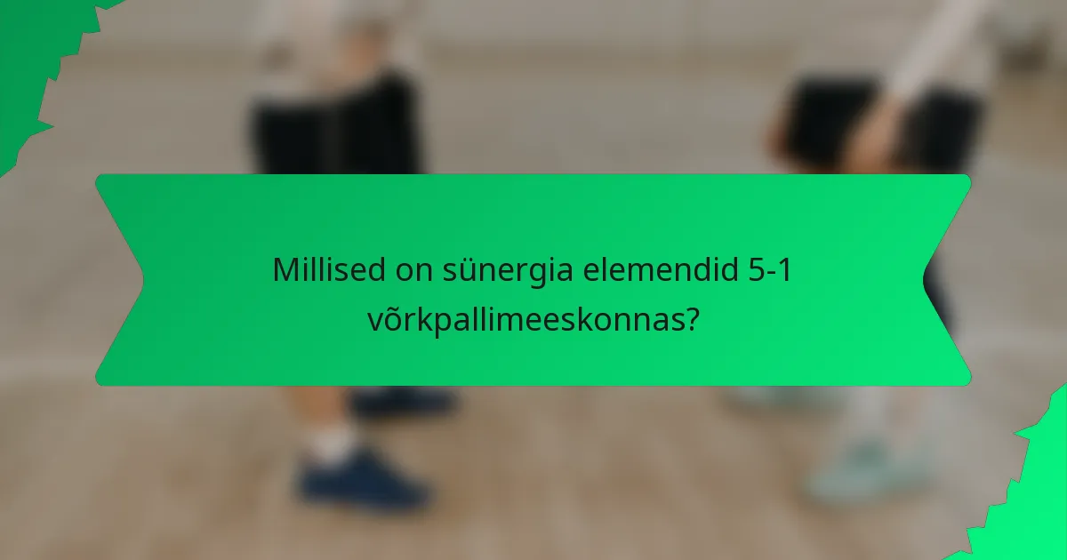 Millised on sünergia elemendid 5-1 võrkpallimeeskonnas?